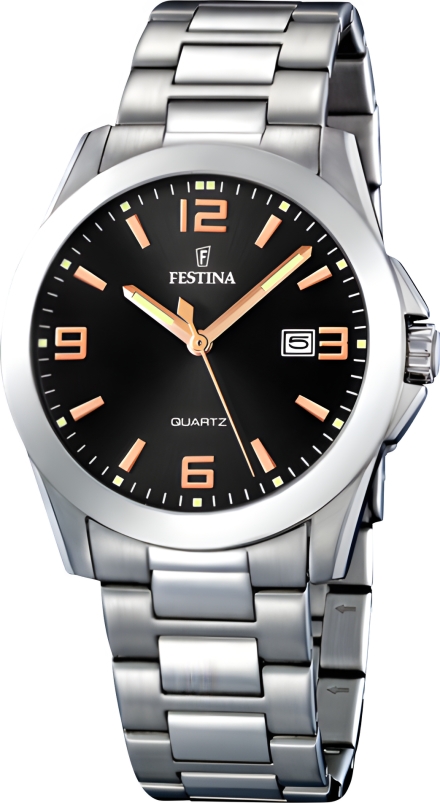 Часы Festina F16376/6