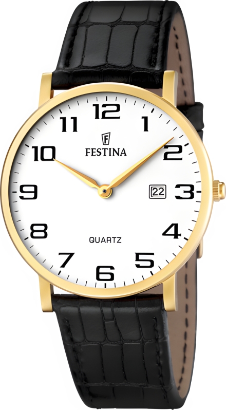 Часы Festina F16478/1