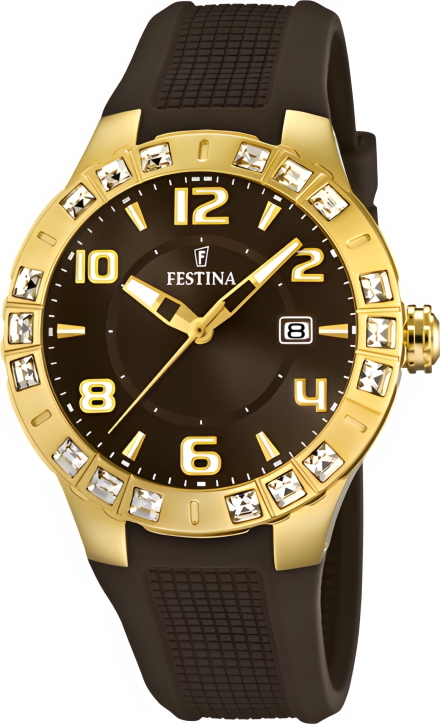 Часы Festina F16582/3