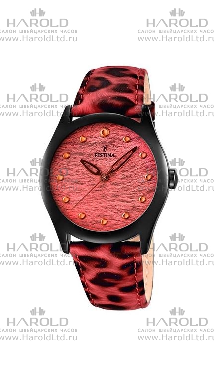 Часы Festina F16649/2