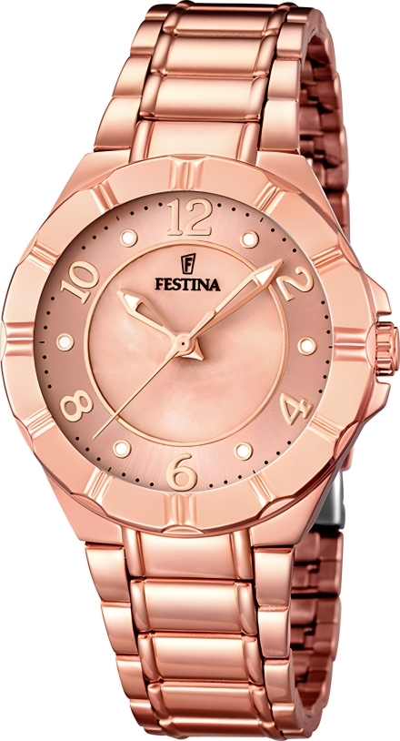 Часы Festina F16728/1