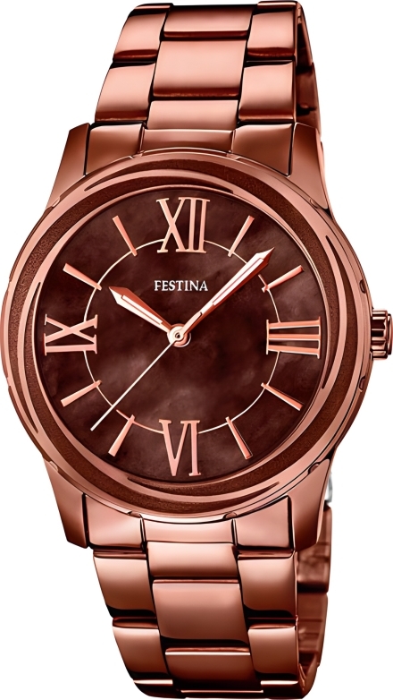 Часы Festina F16799/1