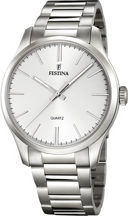 Часы Festina F16807/1