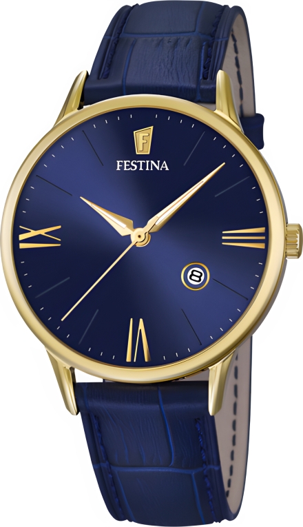 Часы Festina F16825/3