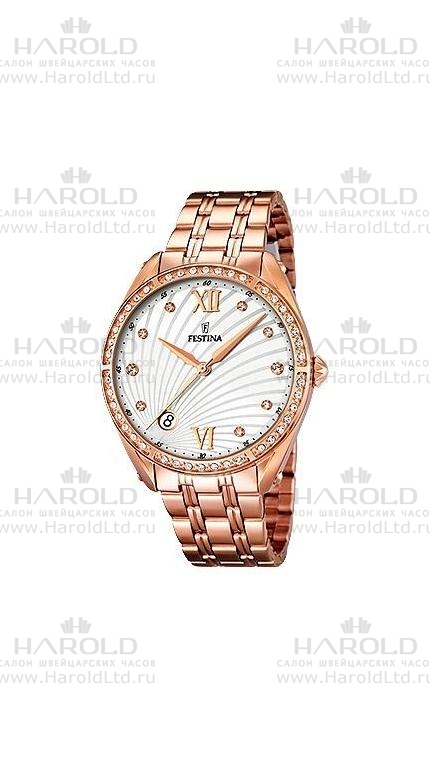 Часы Festina F16896/1