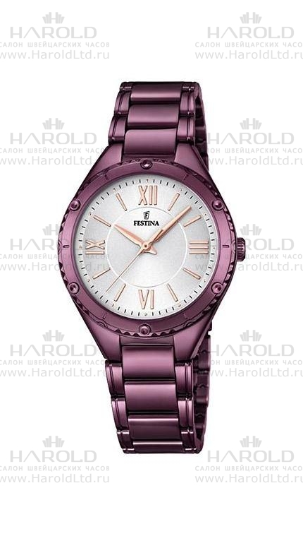 Часы Festina F16924/1