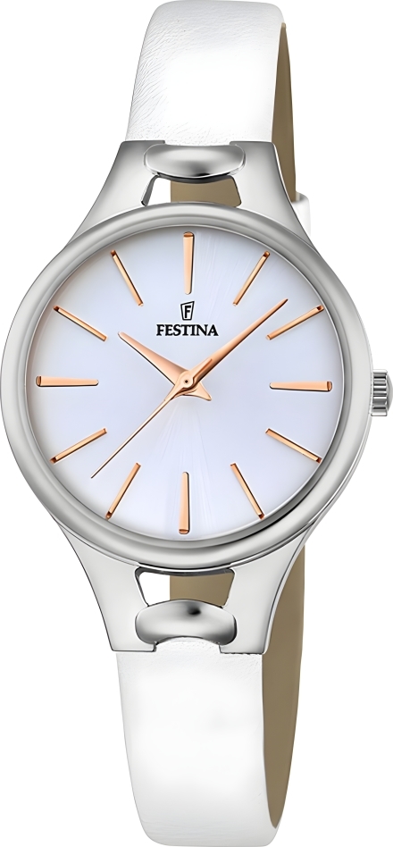 Часы Festina F16954/1