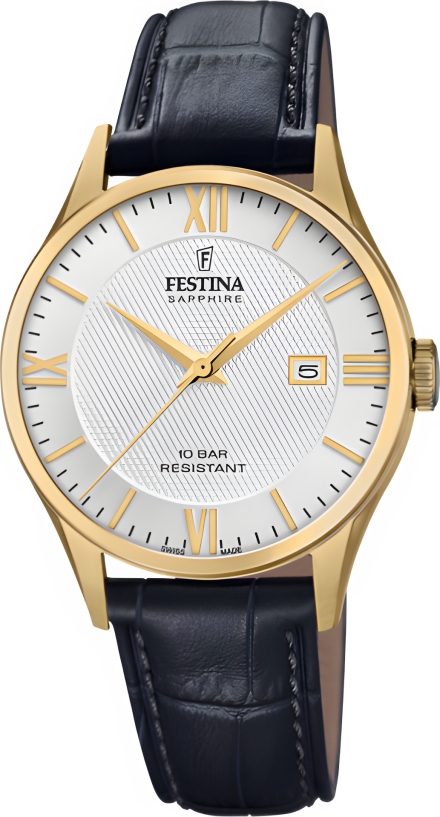 Часы Festina F20010/2