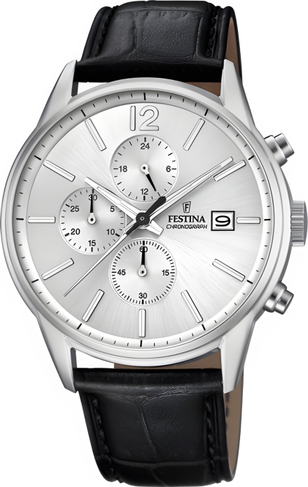 Часы Festina F20284/1