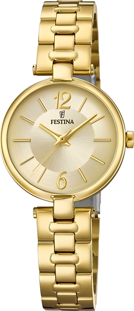Часы Festina F20313/1