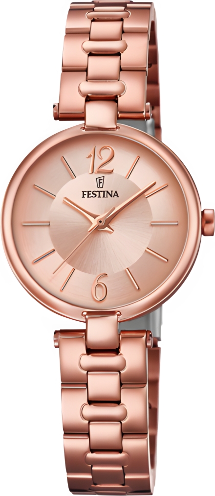 Часы Festina F20314/1