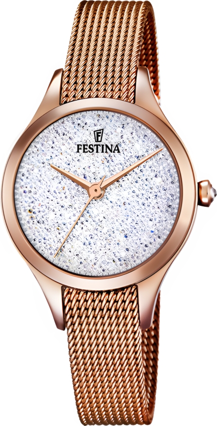 Часы Festina F20338/1