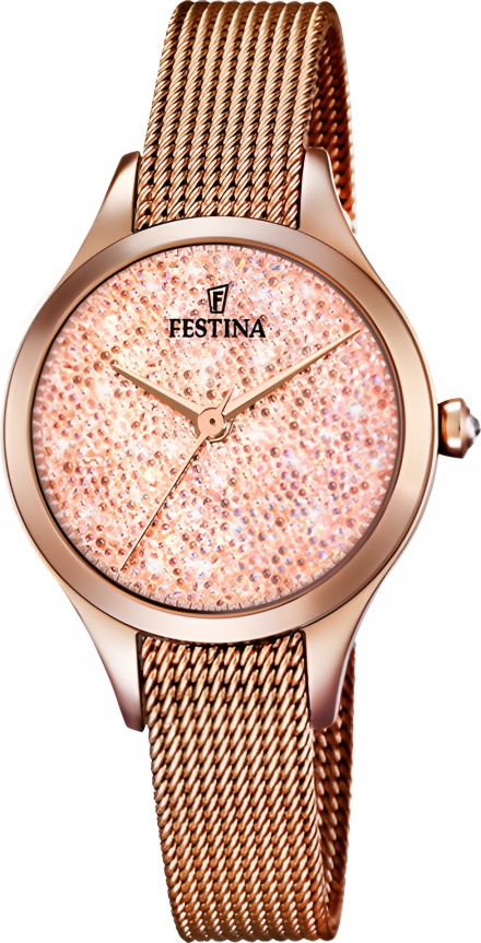 Часы Festina F20338/2
