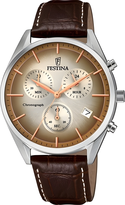 Часы Festina F6860/1